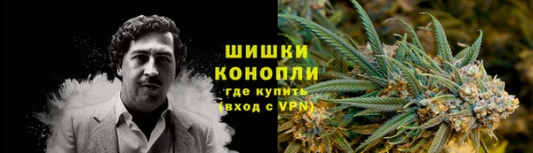 PSILOCYBIN Коряжма