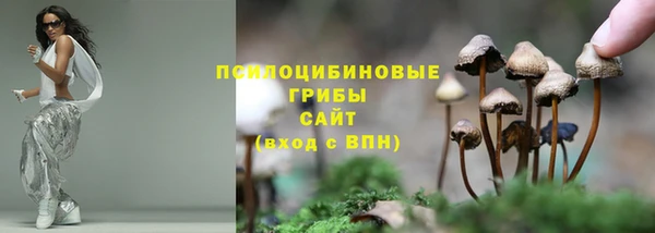 spice Корсаков