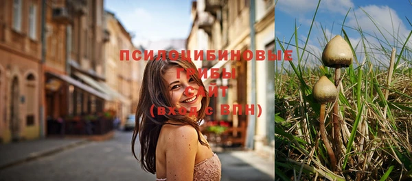 PSILOCYBIN Коряжма