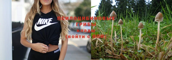 PSILOCYBIN Коряжма