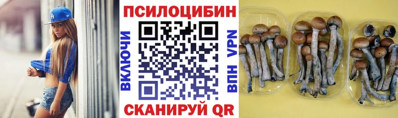 Галлюциногенные грибы Psilocybe  Купить  Белорецк 